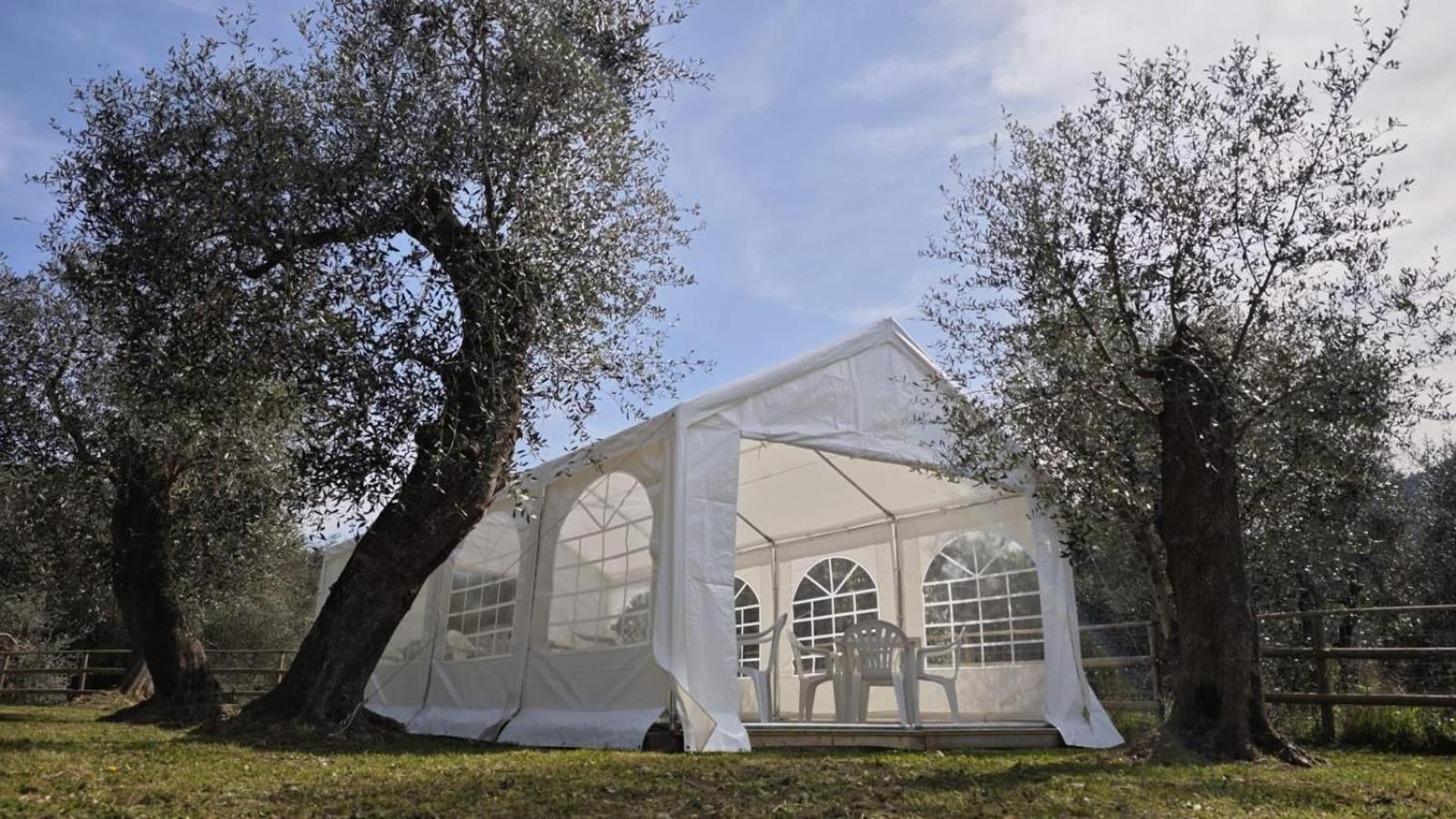 Appartamento Alba Dachi Farm Andora ภายนอก รูปภาพ