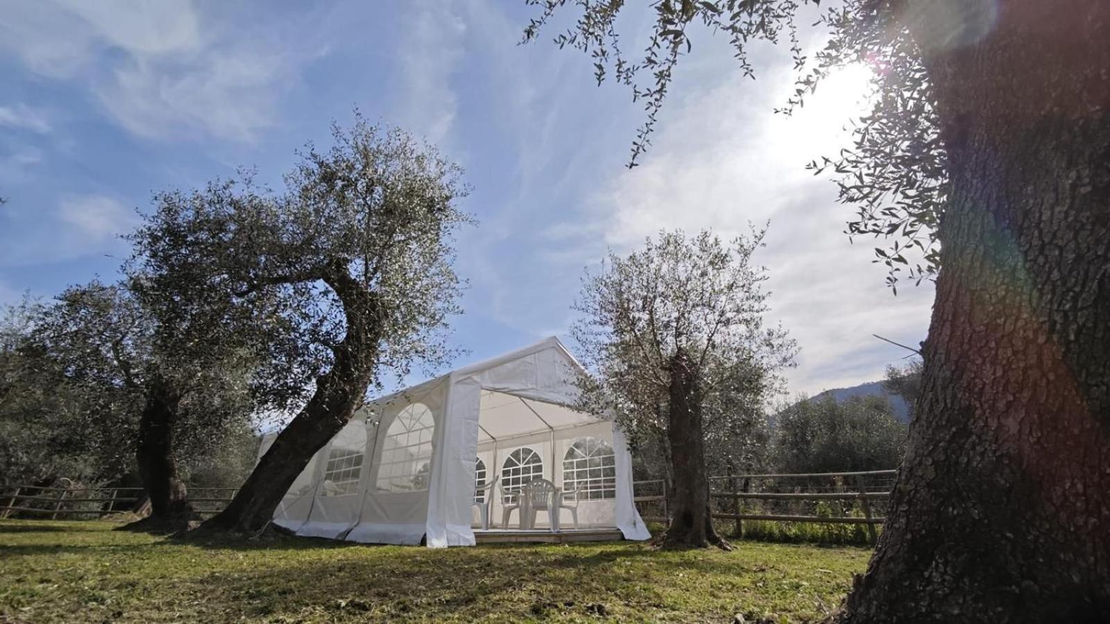 Appartamento Alba Dachi Farm Andora ภายนอก รูปภาพ